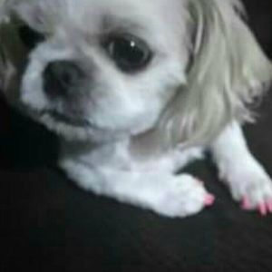 Meet your Posher, Diana